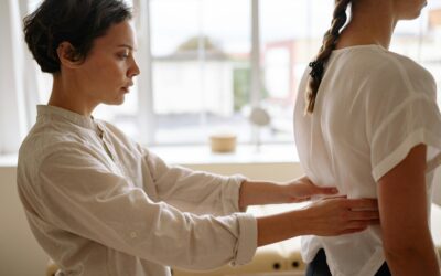 Auto Accident Chiropractor Services in New Port Richey And Tarpon Springs, FL